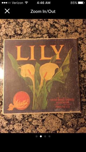 Lily Crate Label Wall Art