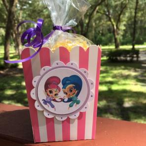 Shimmer And Shine Popcorn Treat Boxes