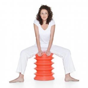 Blue Ergodynamic Flexible Stool $99