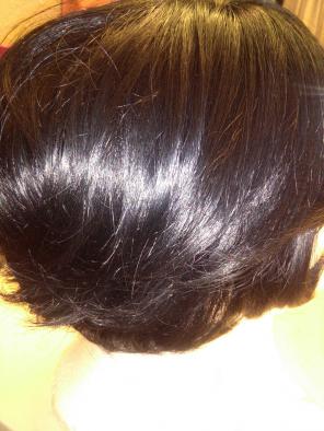 Human hair black wig (Noblesse)