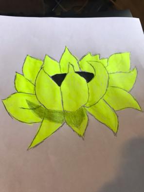 Yellow Flower Sketch
