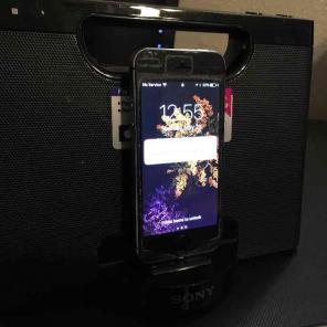 Sony personal audio system