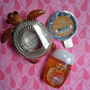 NEW, AIR FRESHENER VISOR CLIP, REFIL, PB