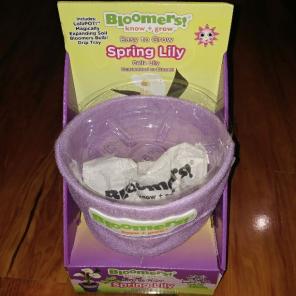 Bloomers Know+Grow Spring Liy