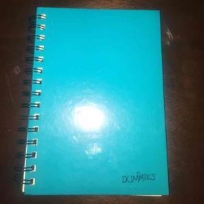 Brand new "journal for dummies"