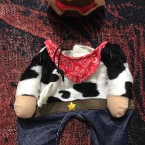 Dog cowboy costume