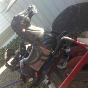 Horse for kids to play in!