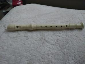 BEGINNER'S FLUTE GENTLY USED