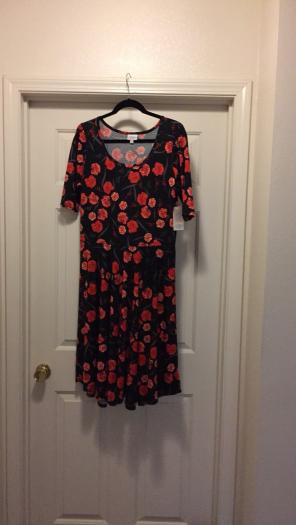 LuLaRoe Nicole Dress