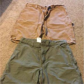 Carhartt shorts
