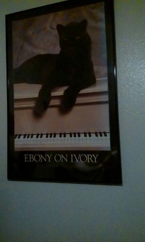 Ebony On Ivory