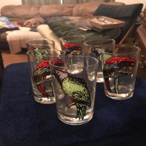 Vintage Parrot Glasses