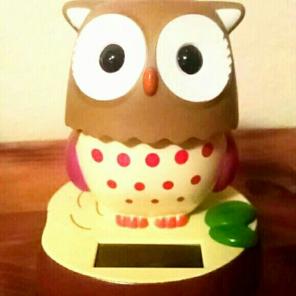 Owl sun measurer