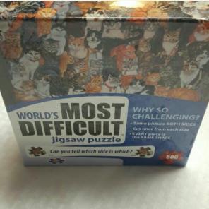 World's Most Difficult Jigsaw Puzzle