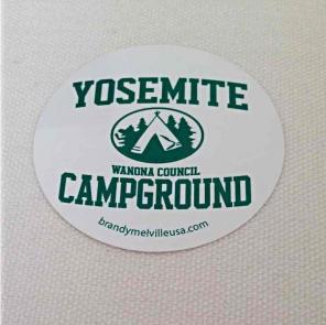 RARE Brandy Melville Sticker - Yosemite