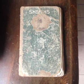 Antique Norwegian Song Book