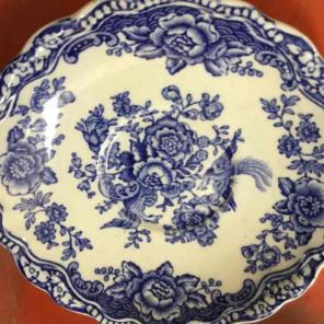 Bristol saucer