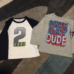 2T Boys Shirt Lot