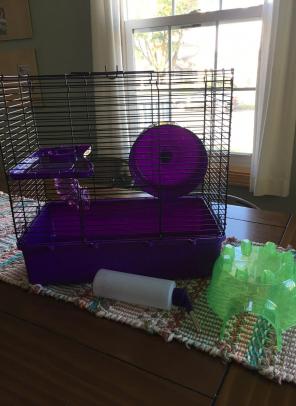 Hamster Mouse Gerbil Cage