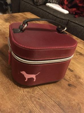 PINK Victoria's Secret Case