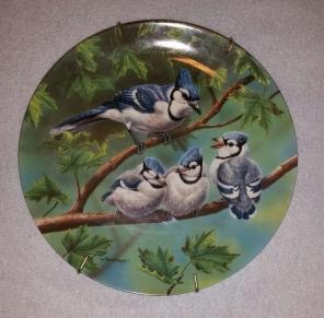 Blue Jay Collectors Decor Plate