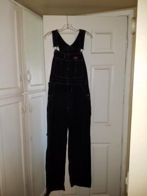 Dickies Overalls