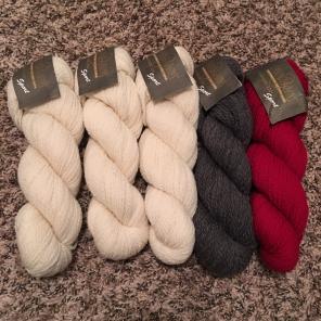 Cascade Sport 5 Skeins