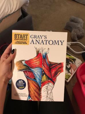 Anatomy. Coloring Book
