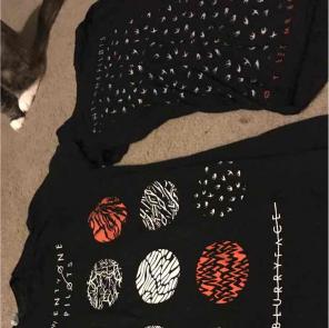 Twenty one pilots