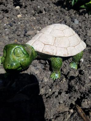 Sleeping turtle