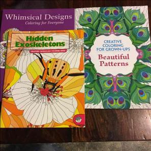 Adult coloring book bundle