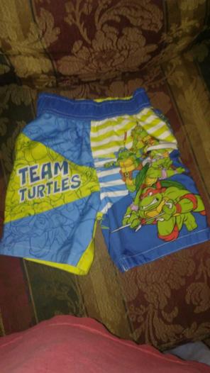 Boys TMNT Swimming Trunks 3T