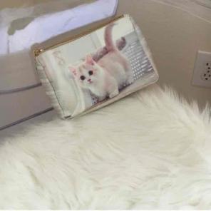 Kitty Kitten Pouch