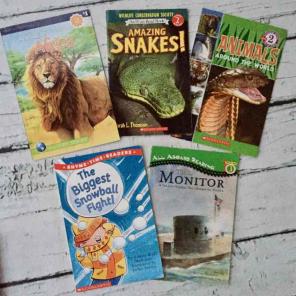 Childrens Books Bundle Lot level readers