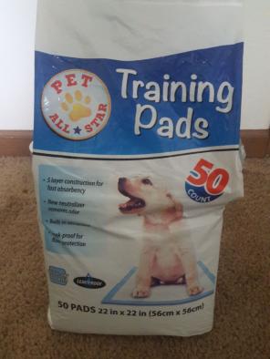 Training dog pads