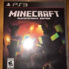 Minecraft video game
