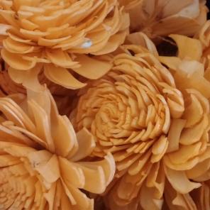 Sola or balsa flowers