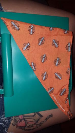 Kids Harley Davidson bandana