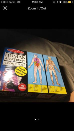 Human Anatomy Puzzle