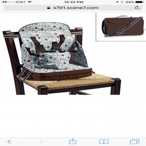 Take Anywhere Booster Seat
