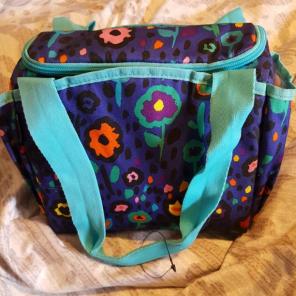 Insulated lunch bag