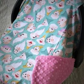 Carseat Canopy