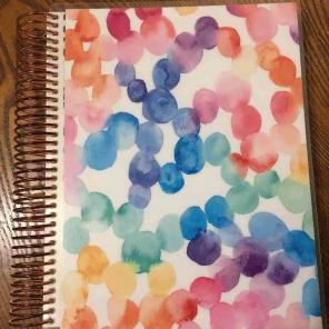 2017-2018 Erin condren life planner