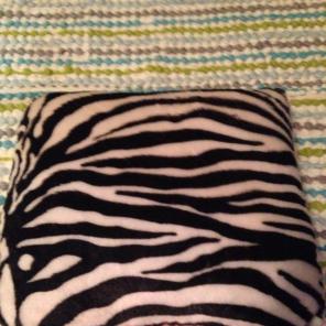 Is Zebra And Pink Pillow