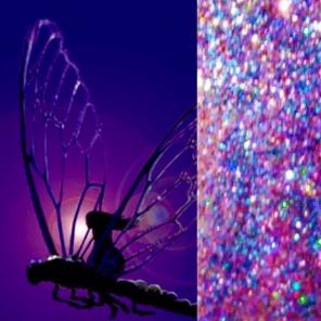 ' DRAGONFLY'. Cosmetic GLITTER