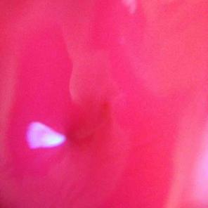 Red Glossy Slime