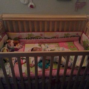 Girls safari crib bedding