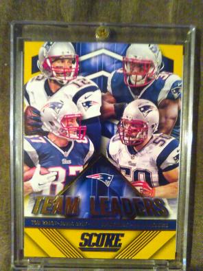 Patriots 2015 Panini Team Leaders Card