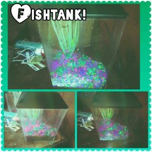 ♡ 1 Gallon Small Fishtank Aquarium, ♡