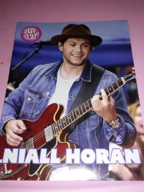 NIALL HORAN 8x10 Pin-Up!